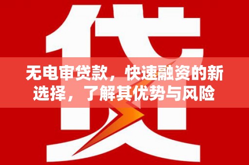 定州无电审贷款，快速融资的新选择，了解其优势与风险