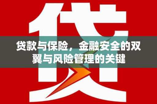 东明贷款与保险，金融安全的双翼与风险管理的关键