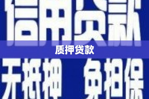 南化质押贷款