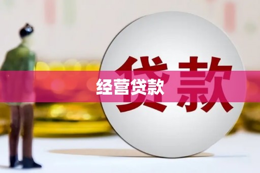龙凤经营贷款
