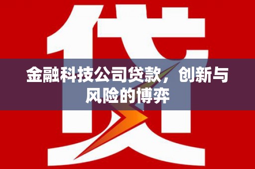天元金融科技公司贷款，创新与风险的博弈