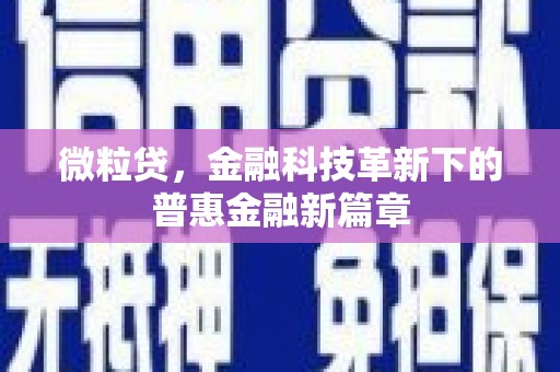 阜康微粒贷，金融科技革新下的普惠金融新篇章