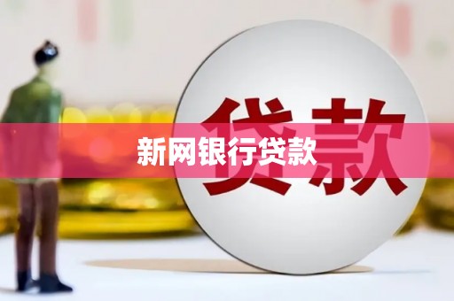 清镇新网银行贷款