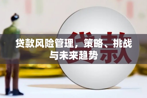 永州贷款风险管理，策略、挑战与未来趋势