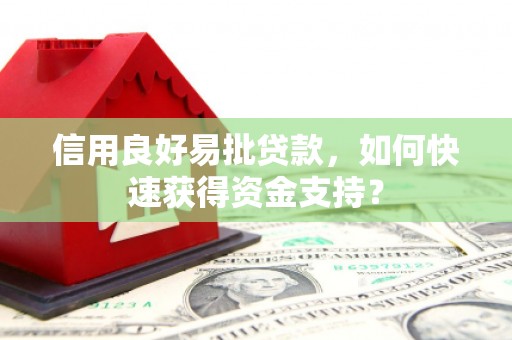 顺庆信用良好易批贷款，如何快速获得资金支持？