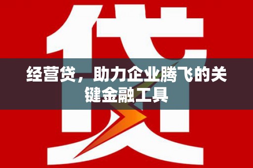 张掖经营贷，助力企业腾飞的关键金融工具