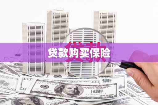 保税区贷款购买保险