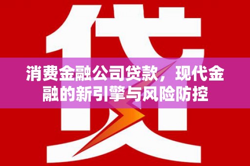 浑南消费金融公司贷款，现代金融的新引擎与风险防控