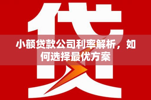 松北小额贷款公司利率解析，如何选择最优方案