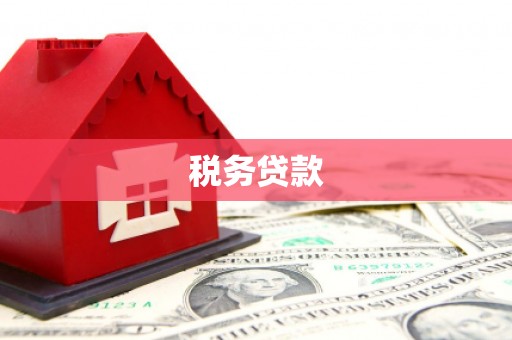 民权税务贷款