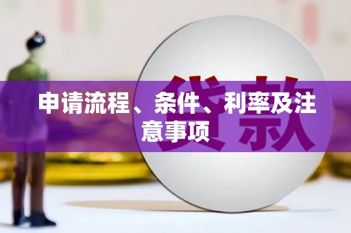 阜宁申请流程、条件、利率及注意事项