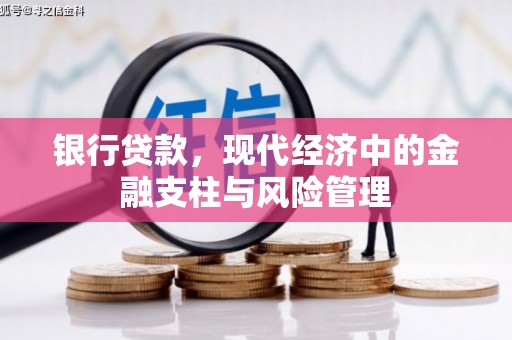 墨江银行贷款，现代经济中的金融支柱与风险管理