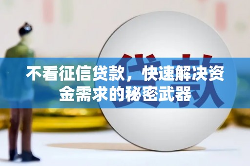 康县不看征信贷款，快速解决资金需求的秘密武器