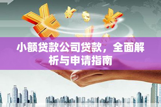 板芙小额贷款公司贷款，全面解析与申请指南