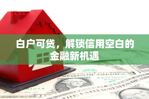 连山白户可贷，解锁信用空白的金融新机遇