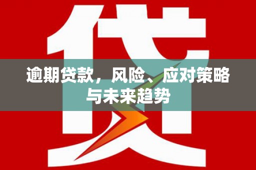 嘉黎逾期贷款，风险、应对策略与未来趋势