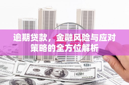 剑阁逾期贷款，金融风险与应对策略的全方位解析