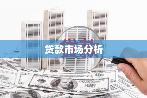 善化贷款市场分析