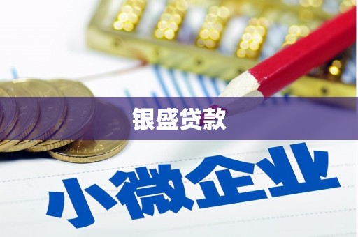 临翔银盛贷款