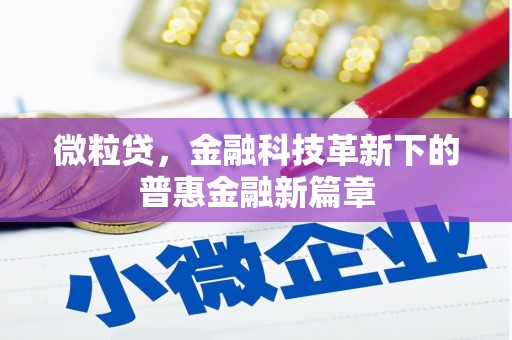 旺苍微粒贷，金融科技革新下的普惠金融新篇章