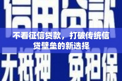 龙文不看征信贷款，打破传统信贷壁垒的新选择