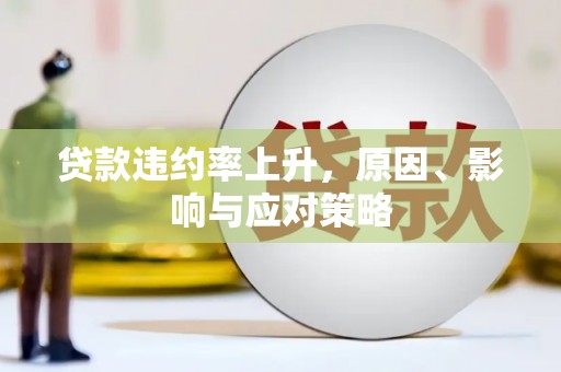 龙游贷款违约率上升，原因、影响与应对策略