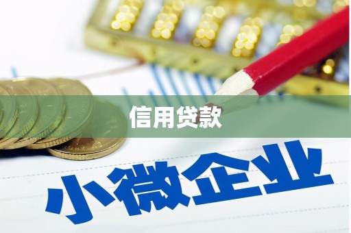 黔西信用贷款