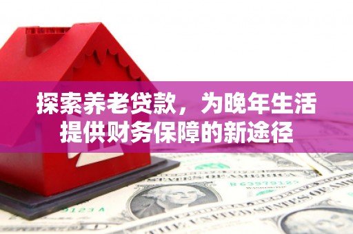 小金探索养老贷款，为晚年生活提供财务保障的新途径
