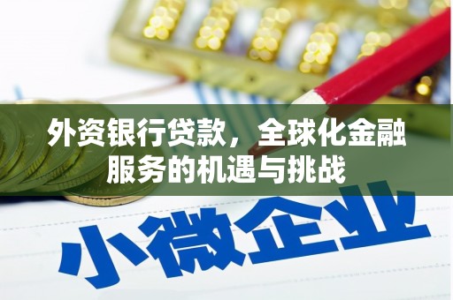 沙依巴克外资银行贷款，全球化金融服务的机遇与挑战