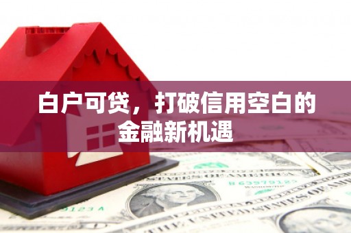 伊吾白户可贷，打破信用空白的金融新机遇
