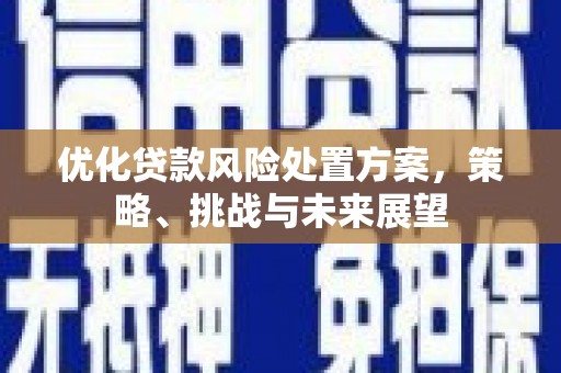 庆元优化贷款风险处置方案，策略、挑战与未来展望