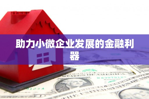 任县助力小微企业发展的金融利器