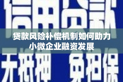 顺城贷款风险补偿机制如何助力小微企业融资发展