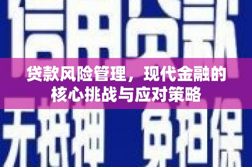 芦淞贷款风险管理，现代金融的核心挑战与应对策略