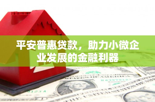 中宁平安普惠贷款，助力小微企业发展的金融利器