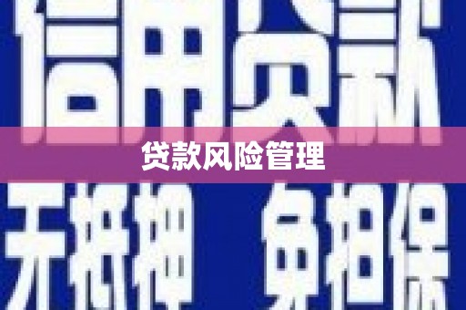 观山湖贷款风险管理
