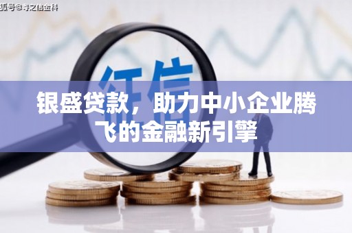 宝兴银盛贷款，助力中小企业腾飞的金融新引擎
