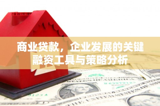 梧州商业贷款，企业发展的关键融资工具与策略分析