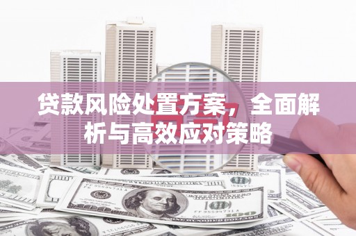 景谷贷款风险处置方案，全面解析与高效应对策略