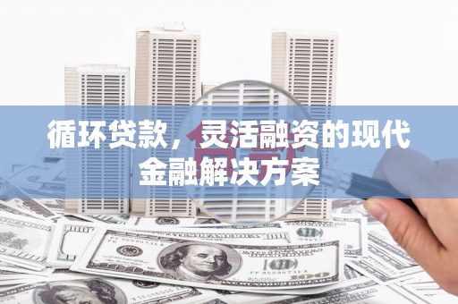 灌南循环贷款，灵活融资的现代金融解决方案