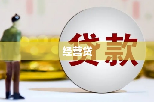 东平经营贷