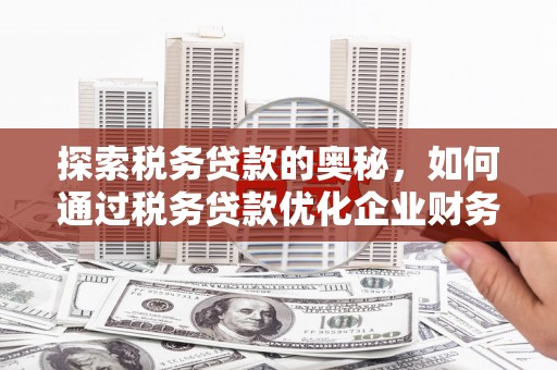 巴音郭楞蒙古探索税务贷款的奥秘，如何通过税务贷款优化企业财务
