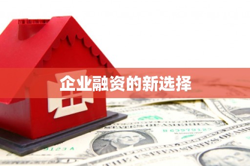 班玛企业融资的新选择