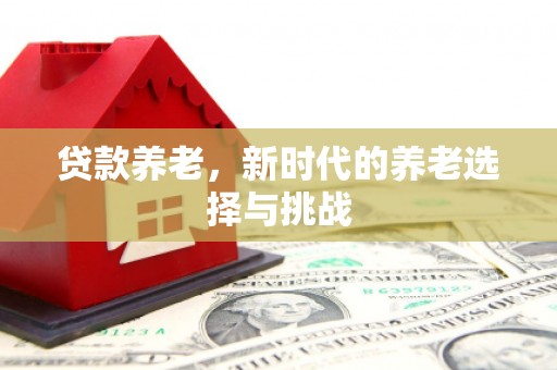 山南贷款养老，新时代的养老选择与挑战
