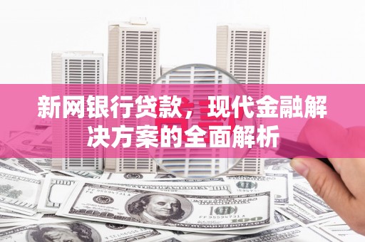 金城新网银行贷款，现代金融解决方案的全面解析