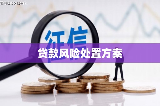 尚义贷款风险处置方案