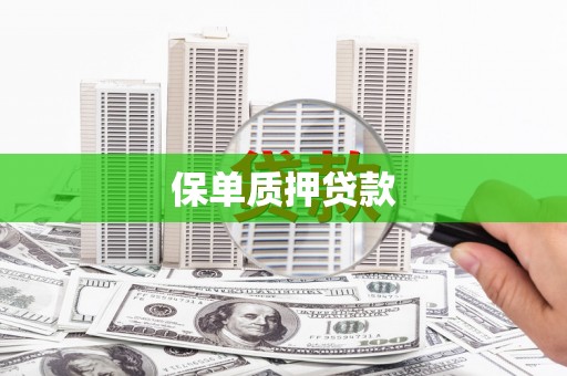 托克托保单质押贷款