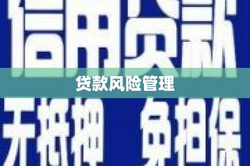鼎城贷款风险管理