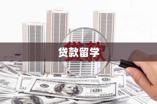 金阳贷款留学