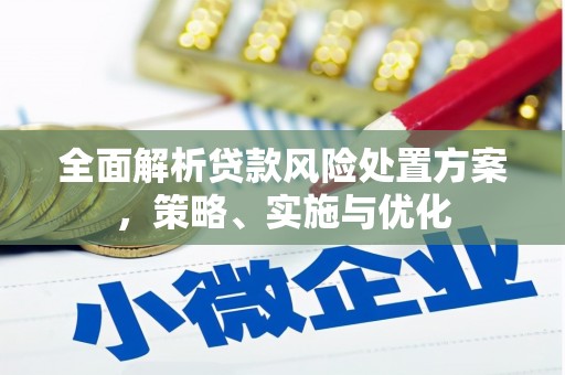 馆陶全面解析贷款风险处置方案，策略、实施与优化
